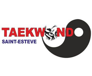 open taekwondo 18x15