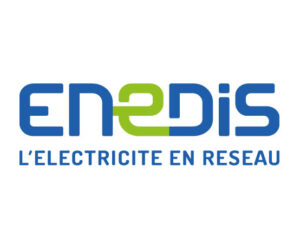 logo vectoriel enedis 1