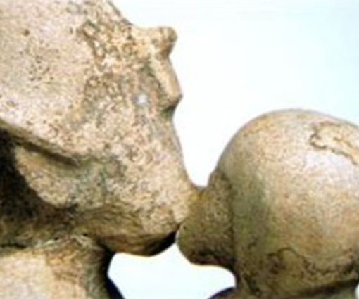 Conférence Amour à l'Égyptienne 1 Amour a legyptienne